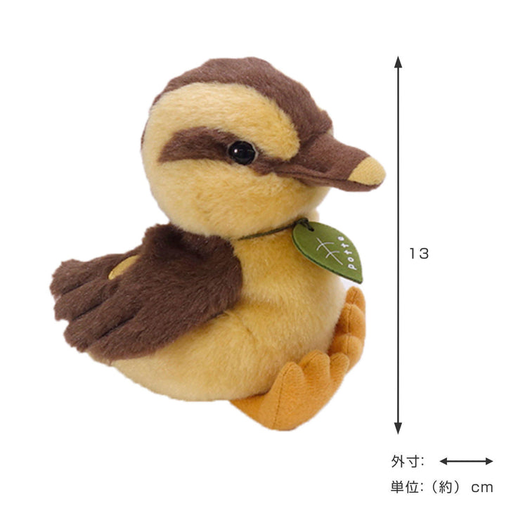 ぬいぐるみ potte カモのひな -4