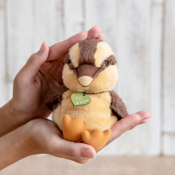 ぬいぐるみ potte カモのひな -8