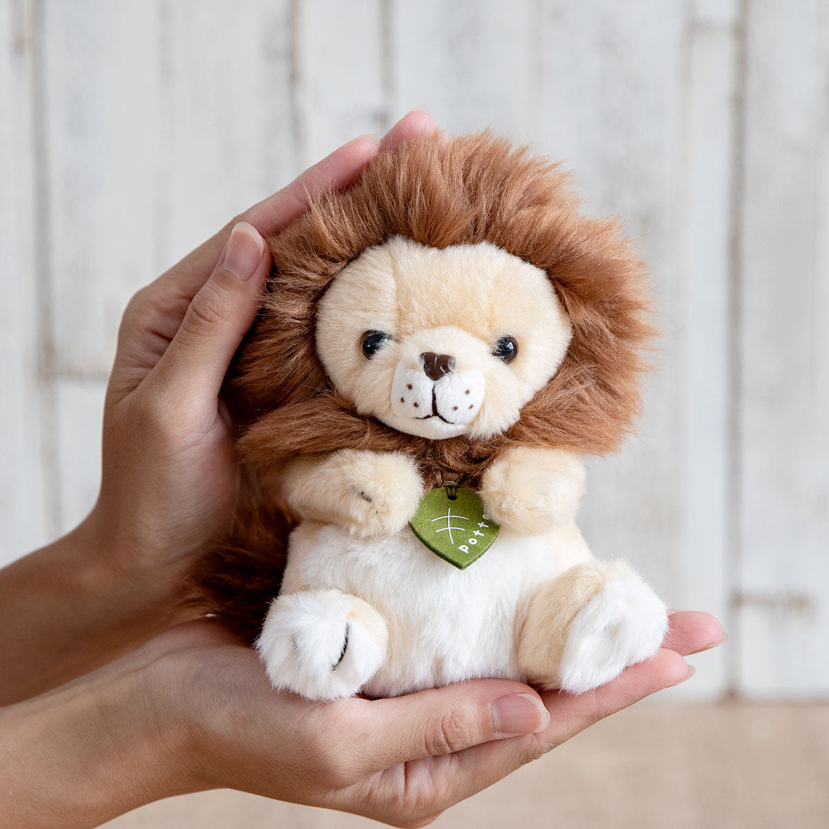 ぬいぐるみ potte オスライオン – ハウジー