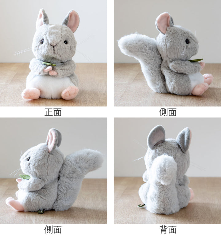 ぬいぐるみ potte チンチラ -3