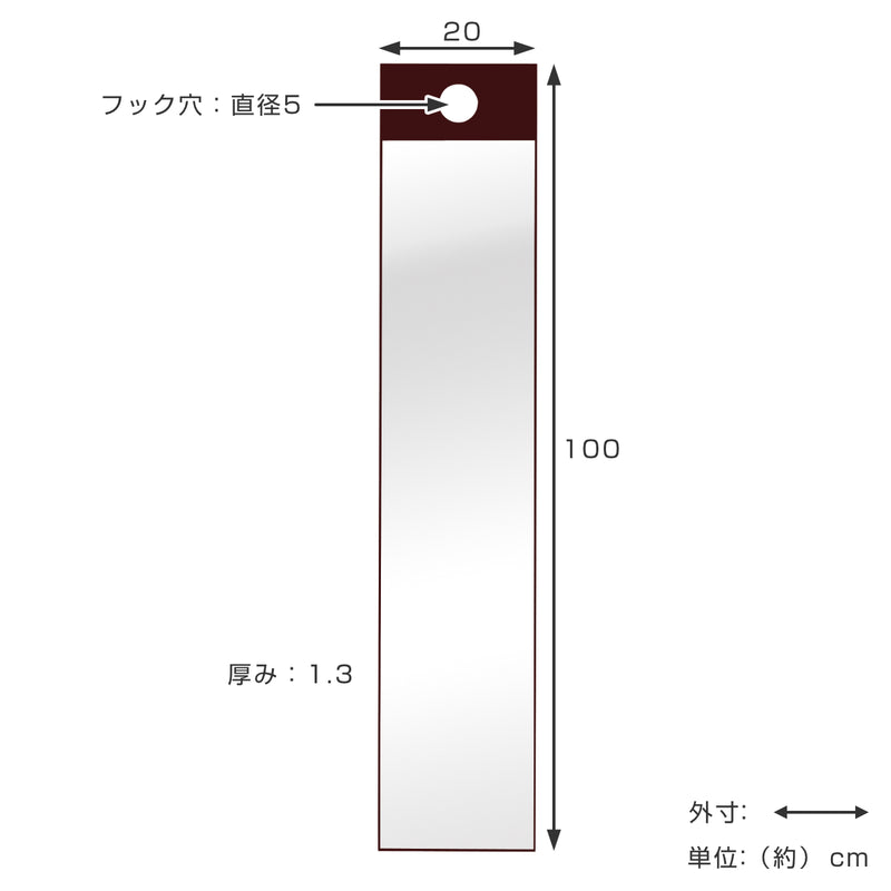 フックミラー 高さ100cm 薄型 日本製