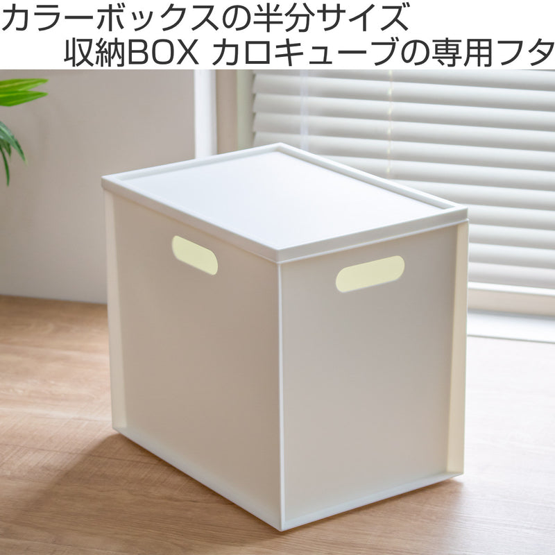 収納ボックス カラーボックス用 カロキューブ 縦型トレー