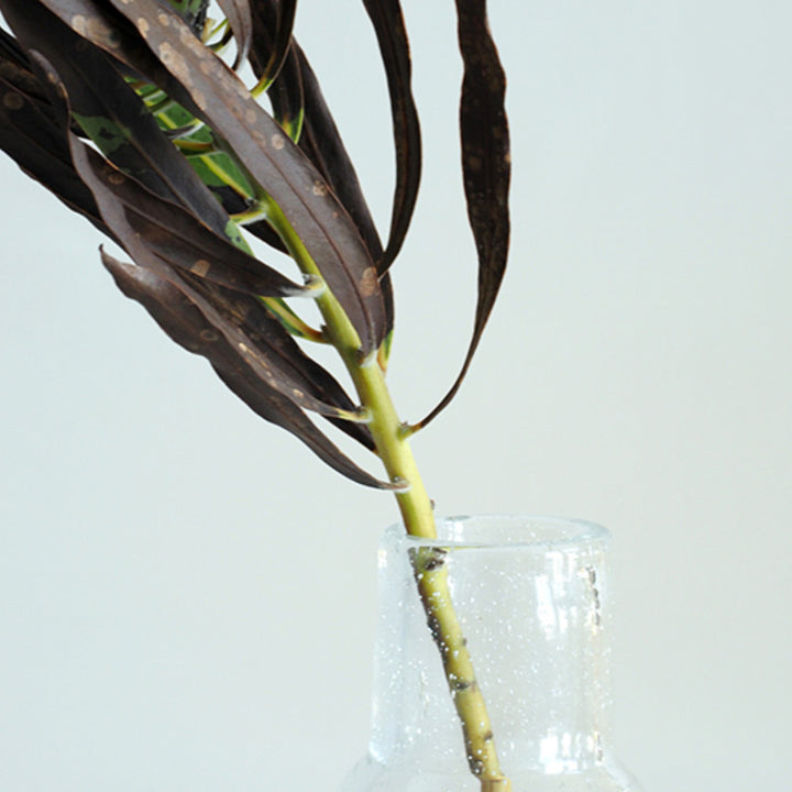 花瓶 DGボトルベース 直径7.5×高さ18cm クリアー ガラス -7