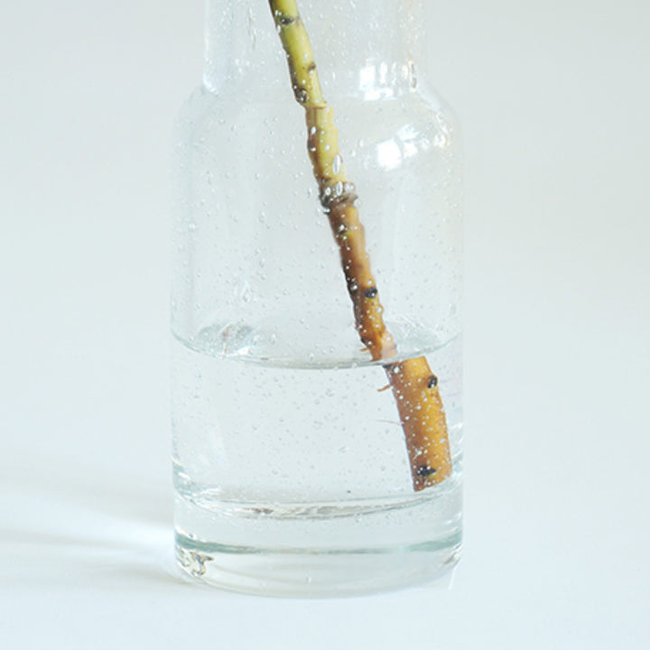 花瓶 DGボトルベース 直径7.5×高さ18cm クリアー ガラス -8