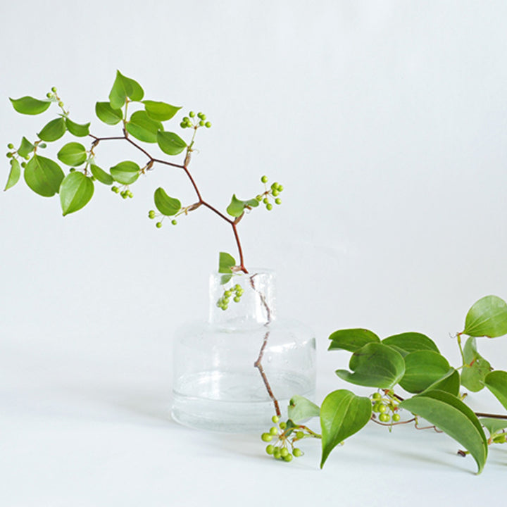 花瓶 DGボトルベース 直径15×高さ15cm クリアー ガラス -2