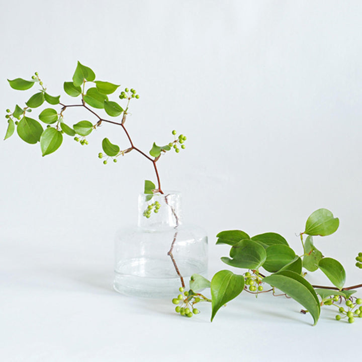 花瓶 DGボトルベース 直径15×高さ15cm クリアー ガラス -9