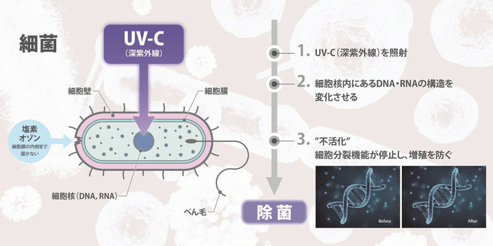 空気清浄機5畳用除菌