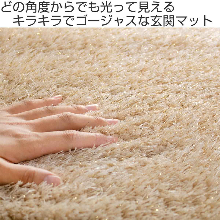 玄関マット室内用40×60cmシャギーマット