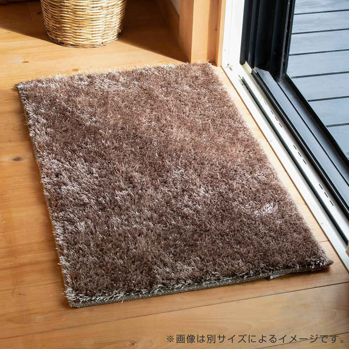 玄関マット室内用40×60cmシャギーマット