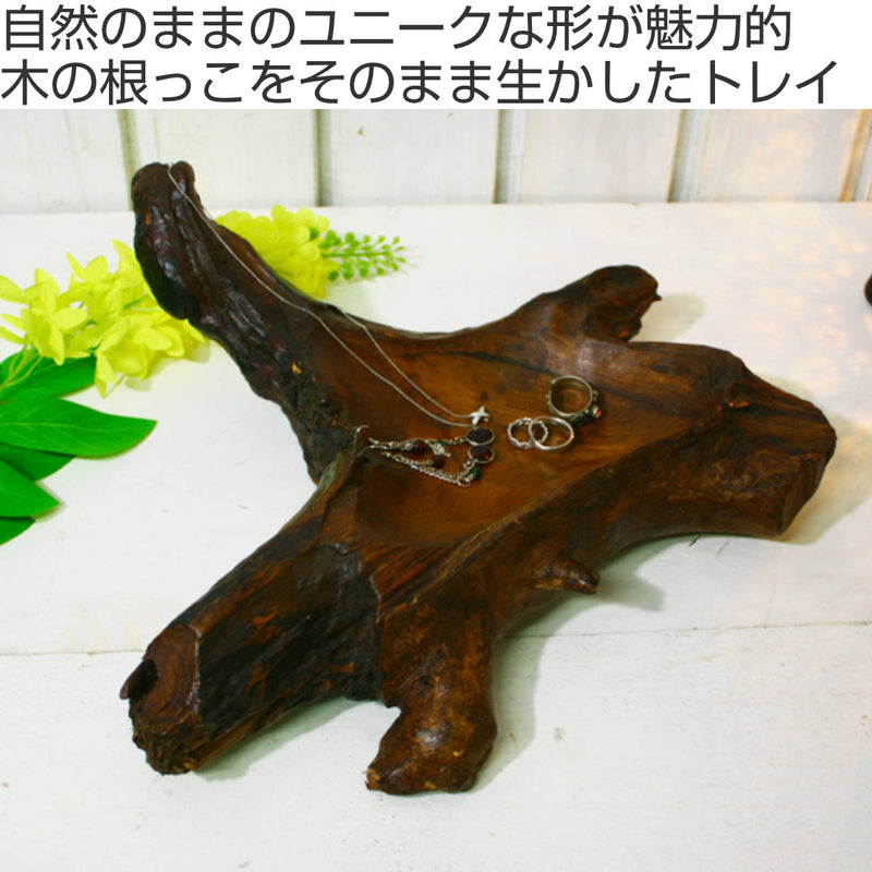 根っ子　天然木　インテリヤ　オブジェ 木の根っ子 インテリア 木の根 オブジェ】天然木 木の置物 根っこ