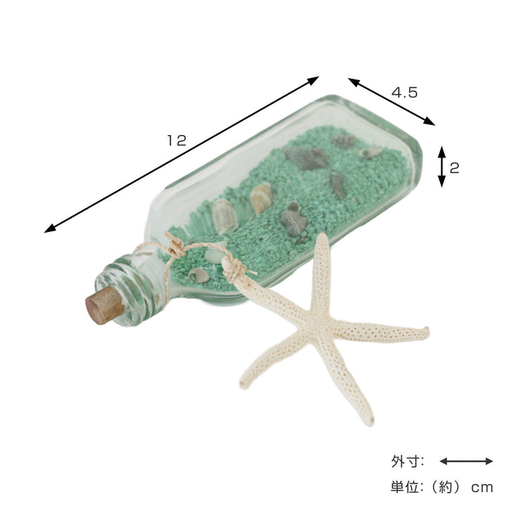 置物 スモールシェルボトル シーグリーン -3