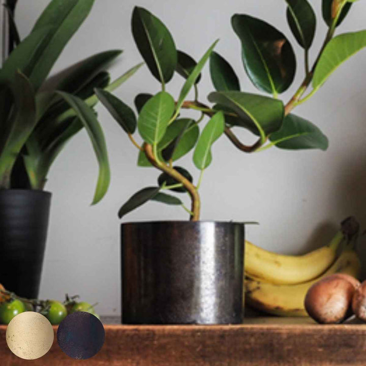 植木鉢 AMシリンダーポット 3号 -2