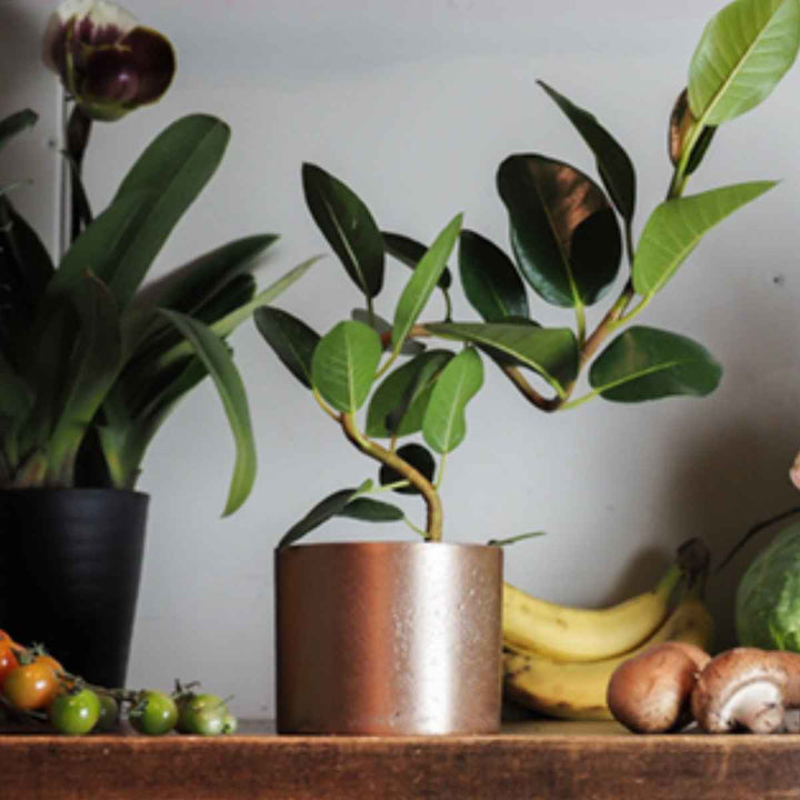 植木鉢 AMシリンダーポット 3号 -5