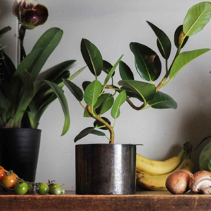 植木鉢 AMシリンダーポット 3号 -6