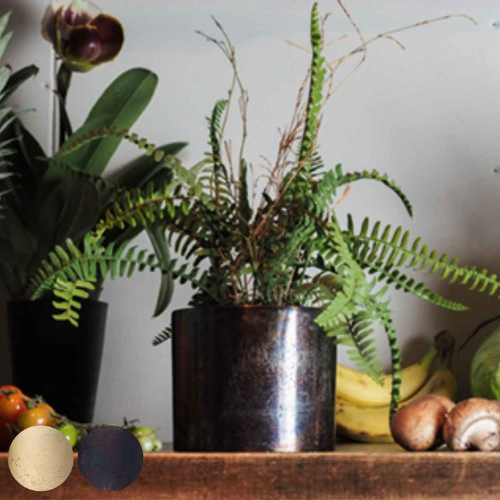 植木鉢 AMシリンダーポット 3.5号 -2