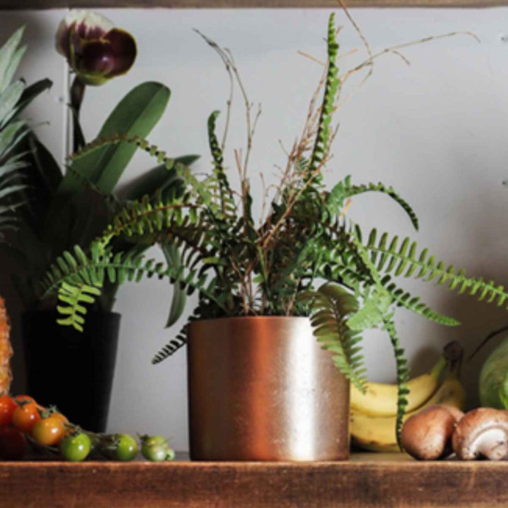 植木鉢 AMシリンダーポット 3.5号 -5