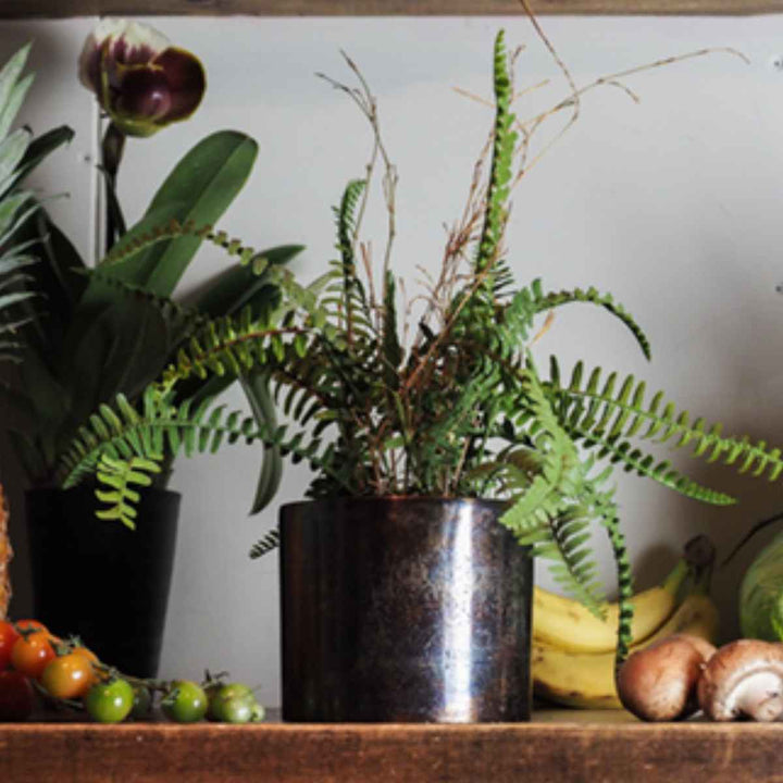 植木鉢 AMシリンダーポット 3.5号 -6