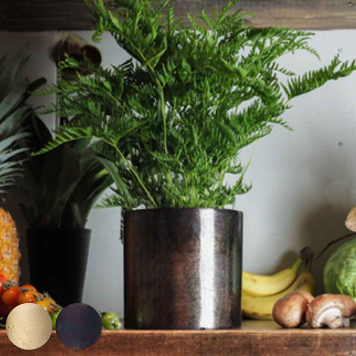 植木鉢 AMシリンダーポット 4号 -2