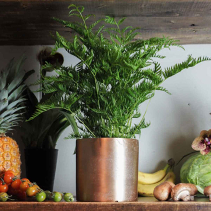 植木鉢 AMシリンダーポット 4号 -5