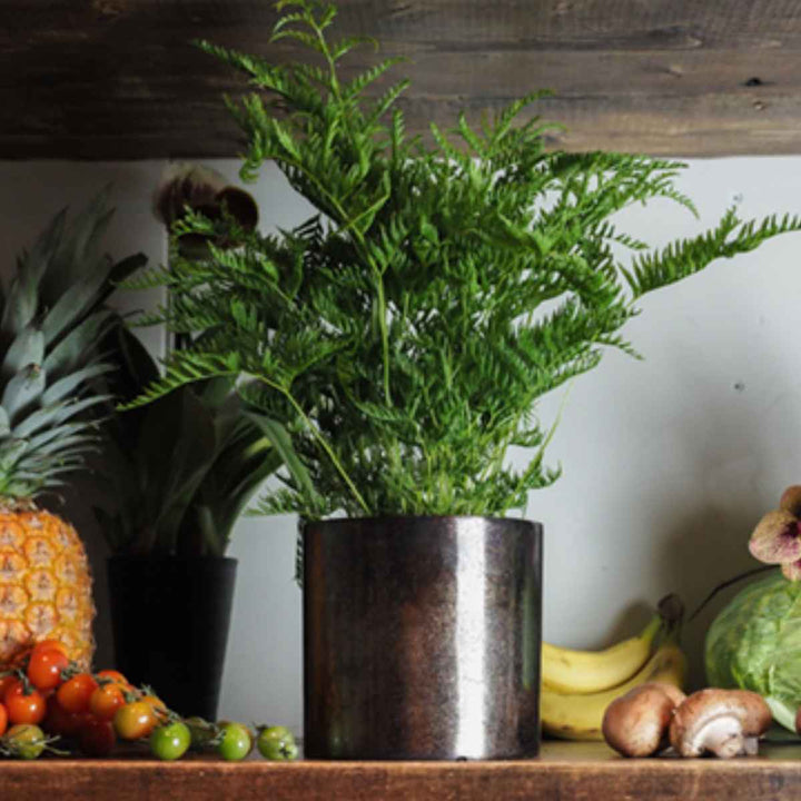 植木鉢 AMシリンダーポット 4号 -6