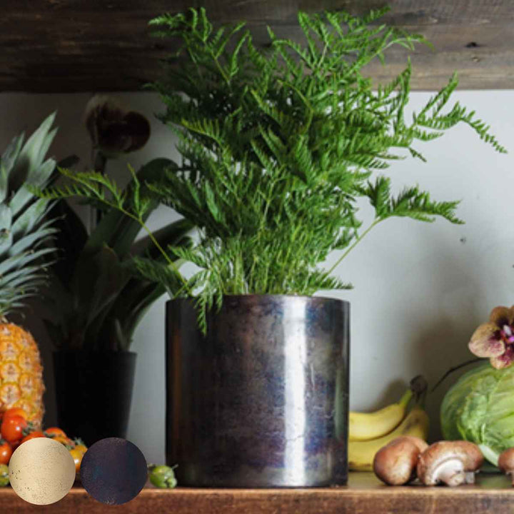 植木鉢 AMシリンダーポット 5号 -2