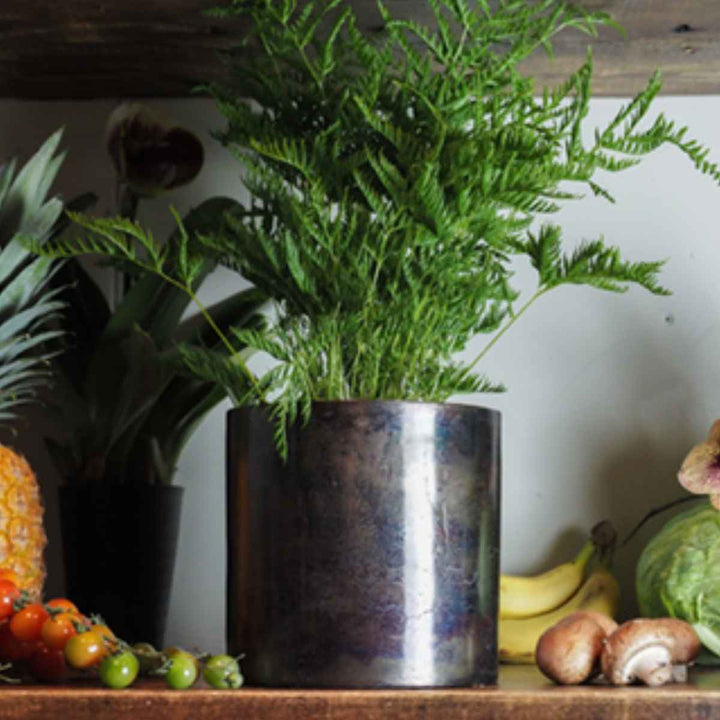 植木鉢 AMシリンダーポット 5号 -6