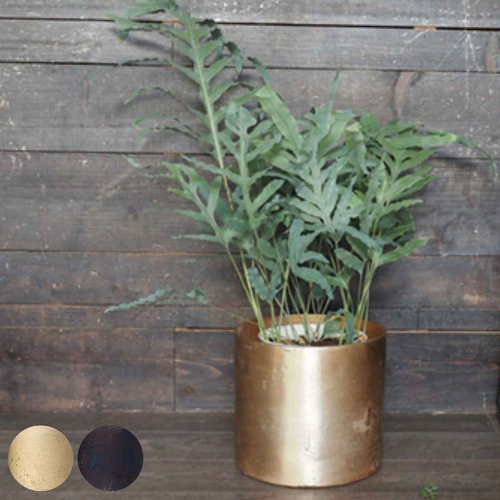 植木鉢 AMシリンダーポット 直径24.5×高さ22cm -2