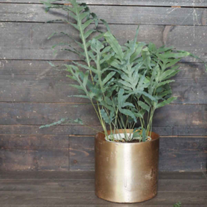 植木鉢 AMシリンダーポット 直径24.5×高さ22cm -6