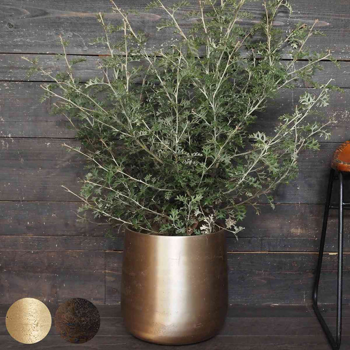 植木鉢 AM8ベース アルミ 直径30×高さ31cm -2