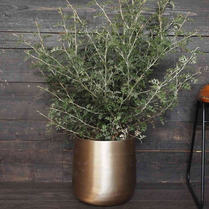 植木鉢 AM8ベース アルミ 直径30×高さ31cm -6