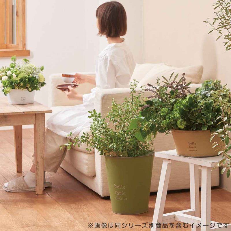 植木鉢 ハウスプランツブリキ 直径23cm×10.5cm -5