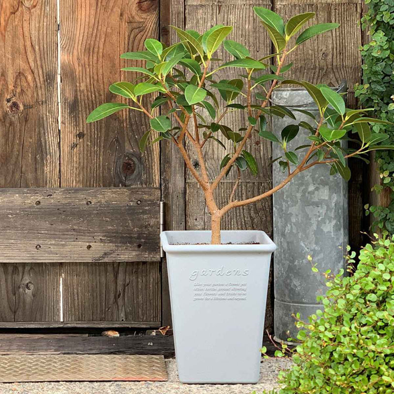 植木鉢 エコポット角型ロング 木粉入り 幅19.2×奥行19.2cm -5