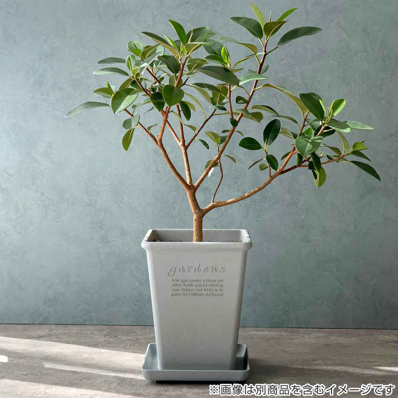 植木鉢 エコポット角型ロング 木粉入り 幅19.2×奥行19.2cm -6