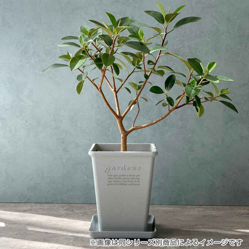 植木鉢 エコポット角型ロング 古紙入り 幅19.2×奥行19.2cm -6