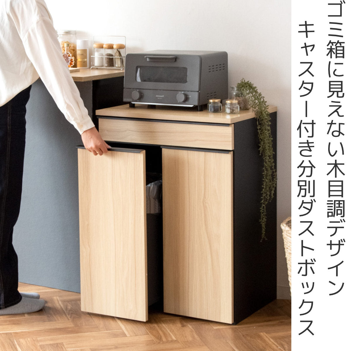 ゴミ箱 45L×2 分別ドロワーダストボックス 木目調 – ハウジー