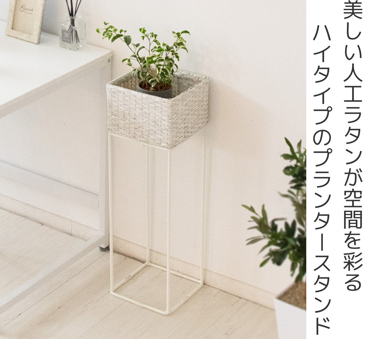 プランタースタンド ラタン調 スチールフレーム 幅22cm – ハウジー