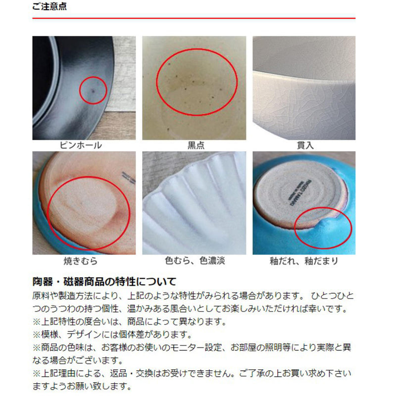 飯碗 10cm KYU-JITSU 陶磁器 -10
