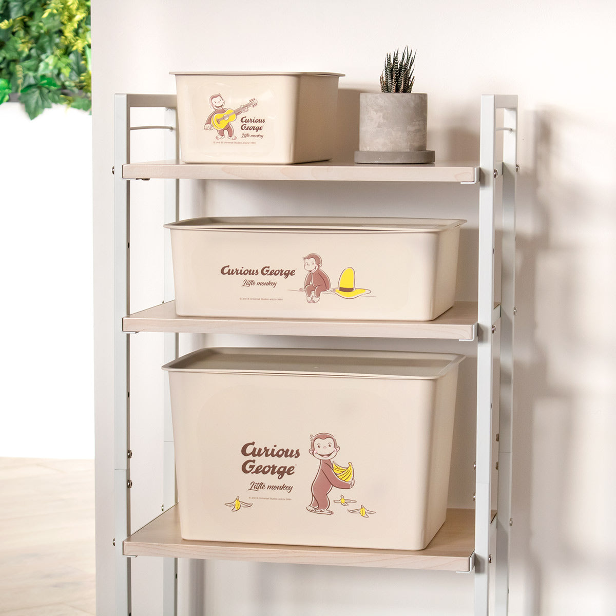 収納ボックス 幅38×奥行27×高さ24cm おさるのジョージ コレクトBOX L