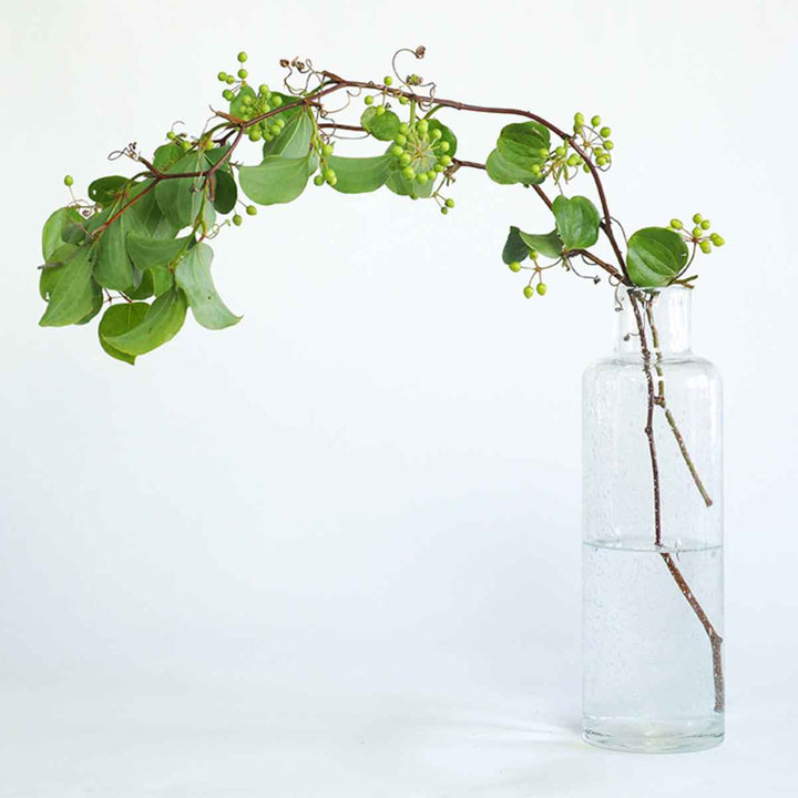 花瓶 DGボトルベース ガラス 直径11x高さ36cm -20