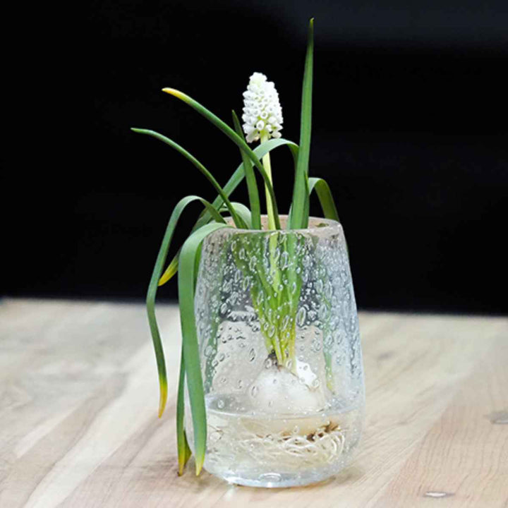 花瓶 DGティアドロップベース ガラス 直径7×高さ10cm -8