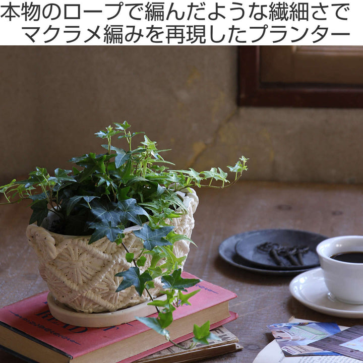 植木鉢 マクラメプランター オーバル セメント -3