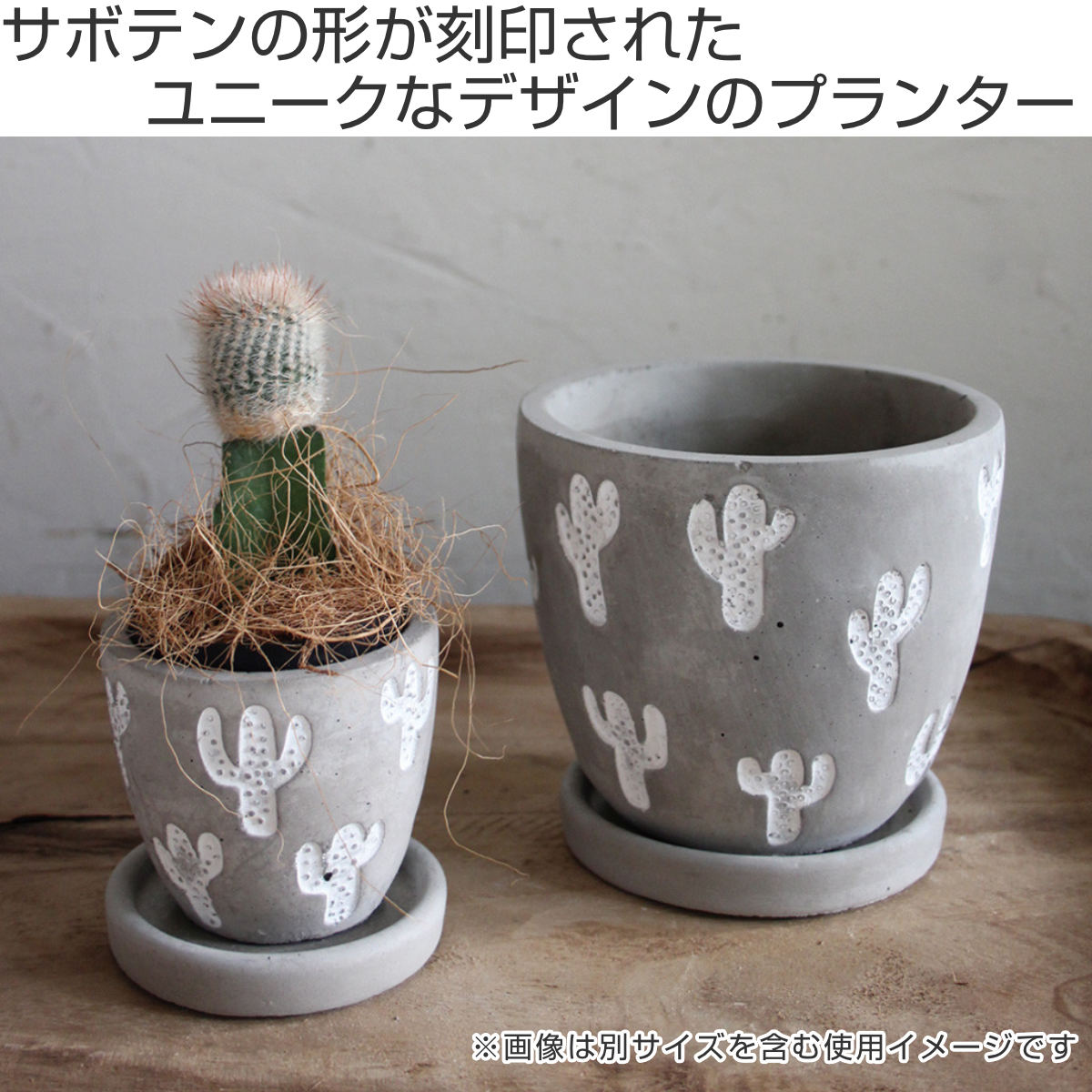 三輪自転車＆リメイク缶☆リメイク鉢 多肉植物 サボテン