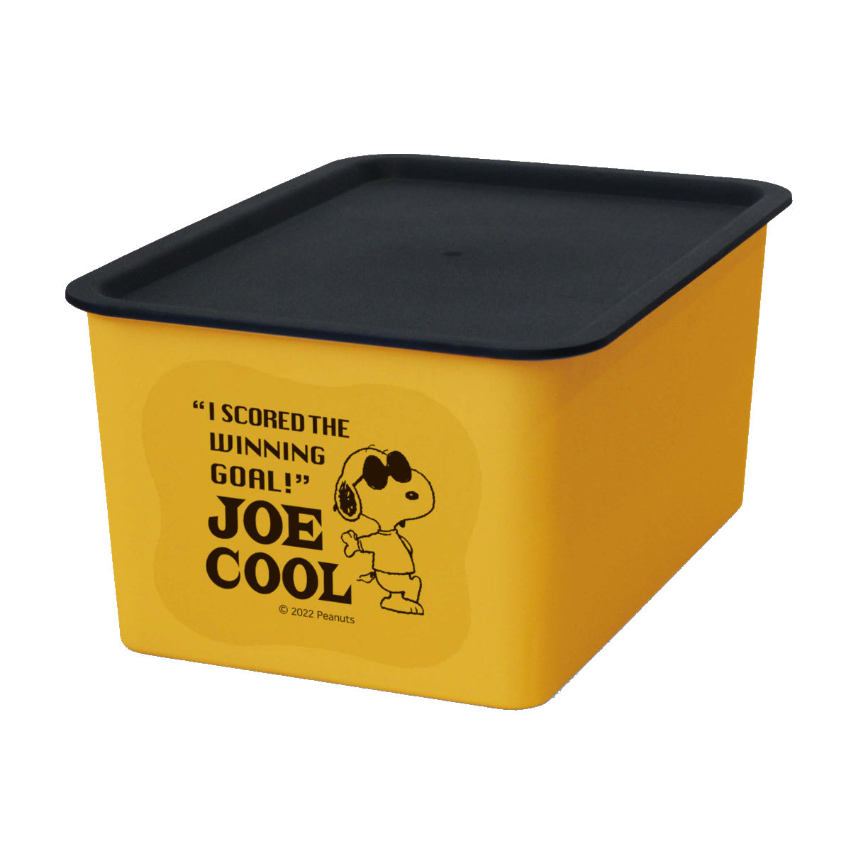 収納ボックス S 幅19×奥行27×高さ12cm スヌーピー コレクトBOX フタ