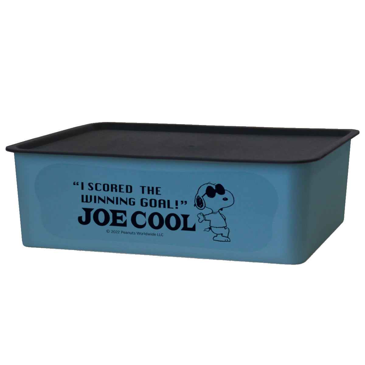 収納ボックス M 幅38×奥行27×高さ12cm スヌーピー コレクトBOX フタ