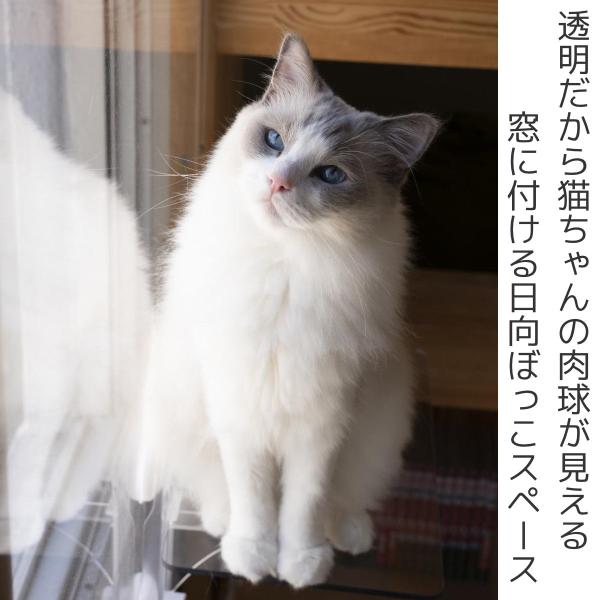 タカラ産業 キャットステップ（窓用）PE4022 1枚 キャットステップ・窓用(PE4022) | タカラ産業株式会社 |最新の建材