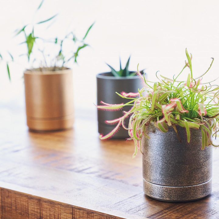 植木鉢MC円柱メタルECOポット受け皿付き直径10cm