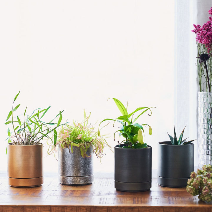 植木鉢MC円柱メタルECOポット受け皿付き直径10cm