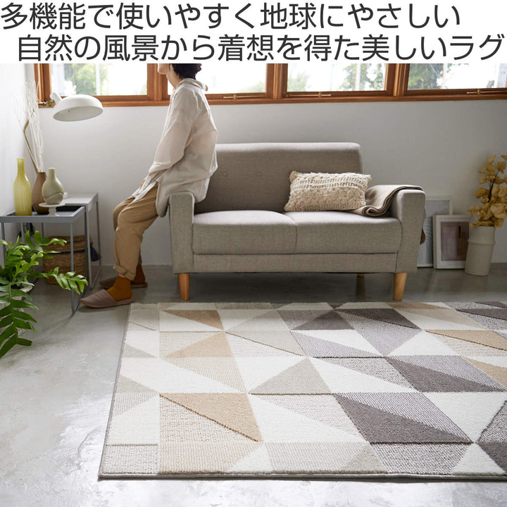 ラグ スミノエ シーン 130×190cm アレルブロック 防ダニ加工 -3