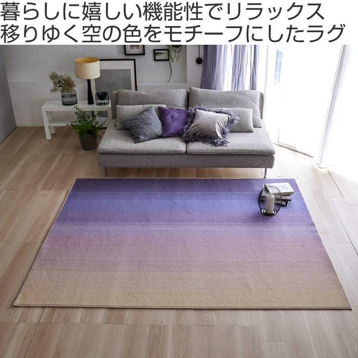 ラグ スミノエ ソライロ 190×240cm 防ダニ加工 アレルブロック -3