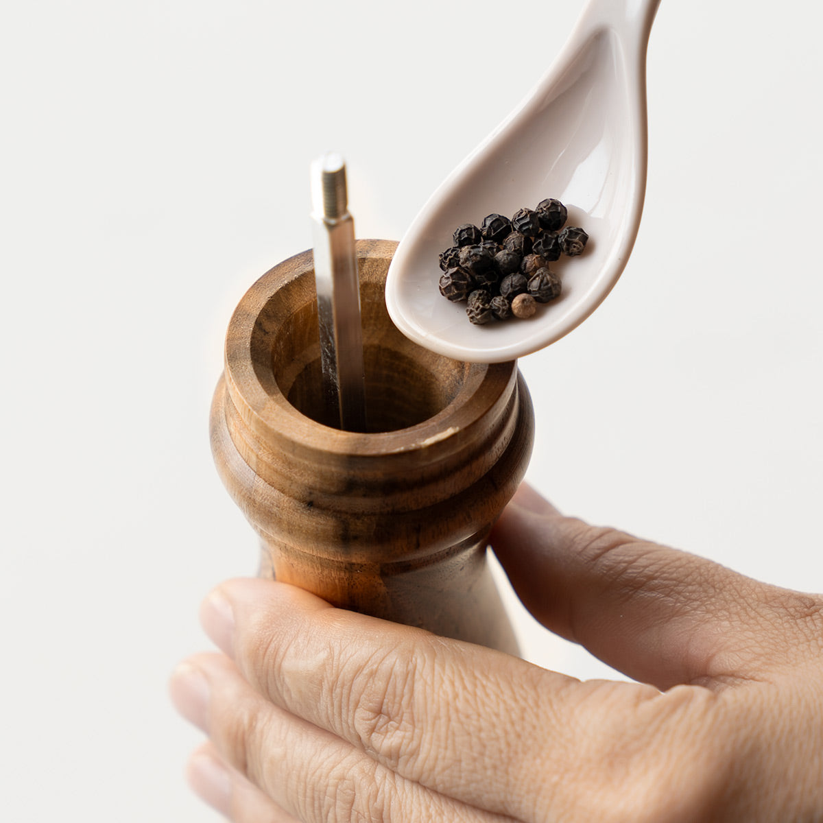 アカシア　SALUS　ペッパーミル　Lサイズ　6個 胡椒挽き L アカシア製 ペッパーミル SALUS – ハウジー